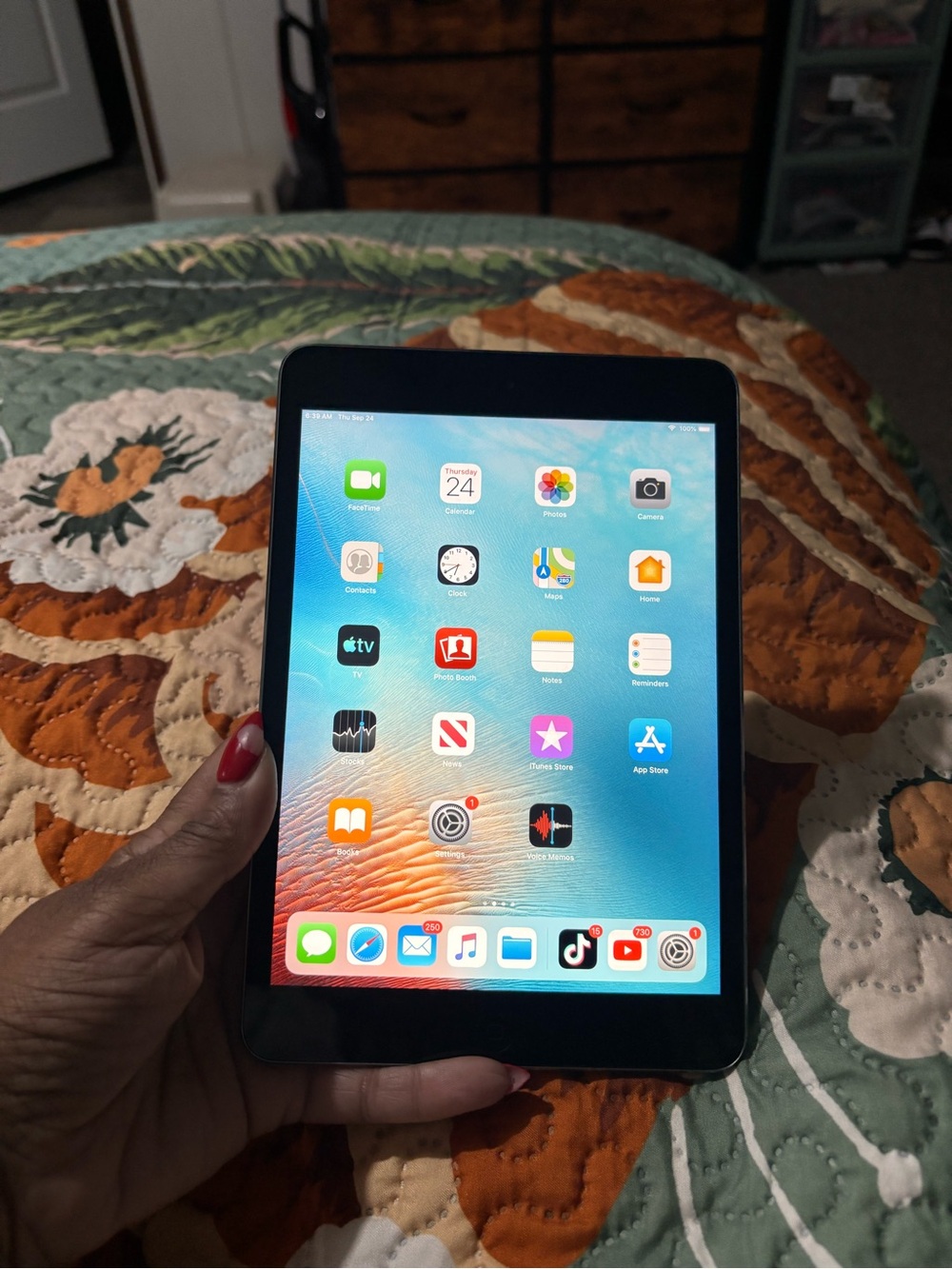 Apple iPad Mini in Black with Blue Screen